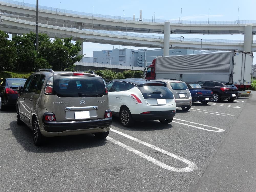 DSC00566 - コピー.JPG